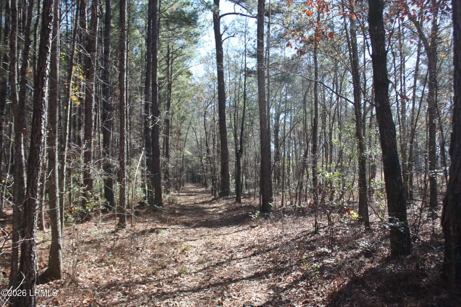 2650 Joe Miley Road, Brunson, SC 29911 — photo 5 of 13