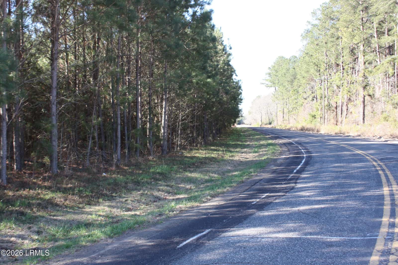 2650 Joe Miley Road, Brunson, SC 29911 — photo 7 of 13