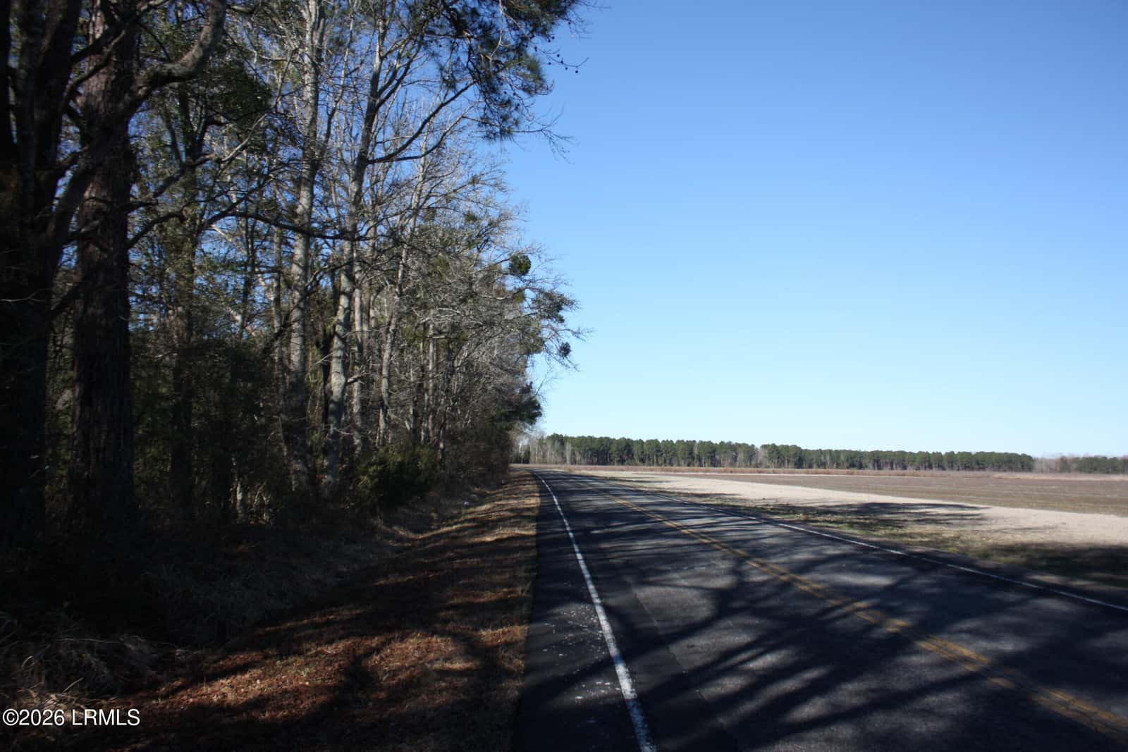 2650 Joe Miley Road, Brunson, SC 29911 — photo 8 of 13