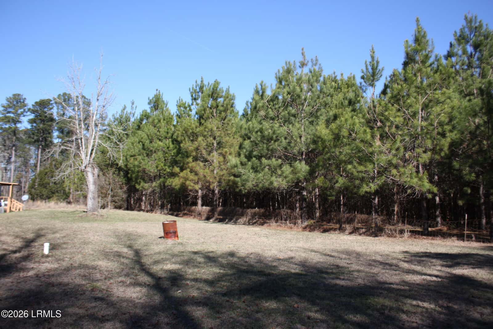2650 Joe Miley Road, Brunson, SC 29911 — photo 9 of 13