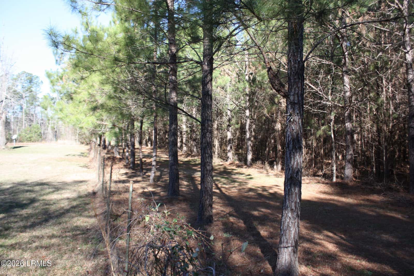 2650 Joe Miley Road, Brunson, SC 29911 — photo 10 of 13