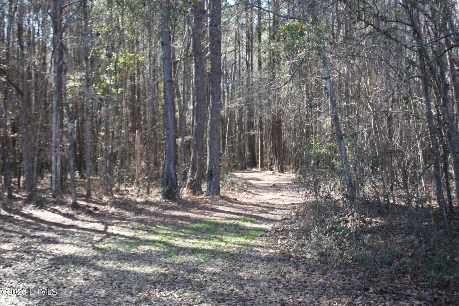 2650 Joe Miley Road, Brunson, SC 29911 — photo 11 of 13