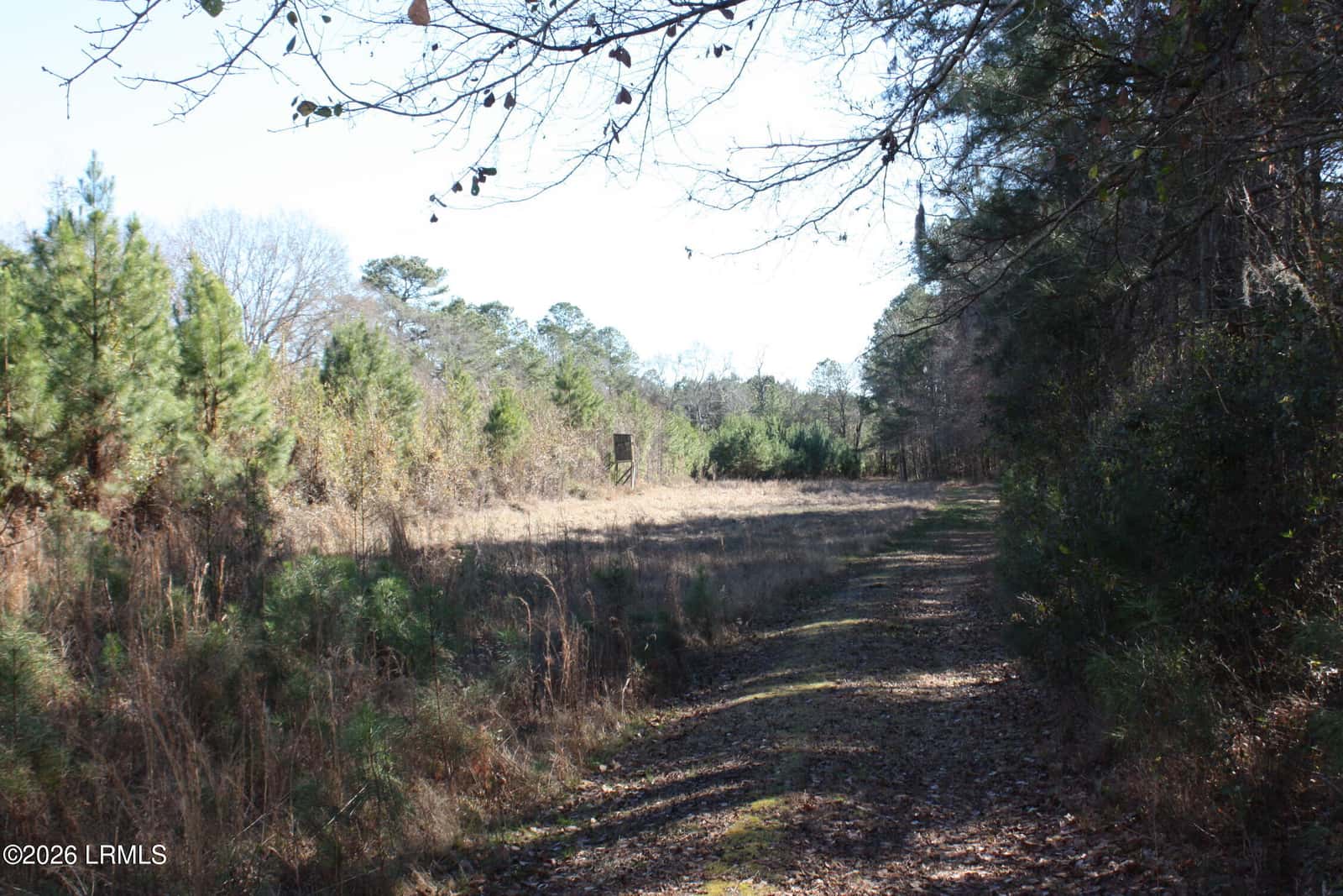 2650 Joe Miley Road, Brunson, SC 29911 — photo 12 of 13