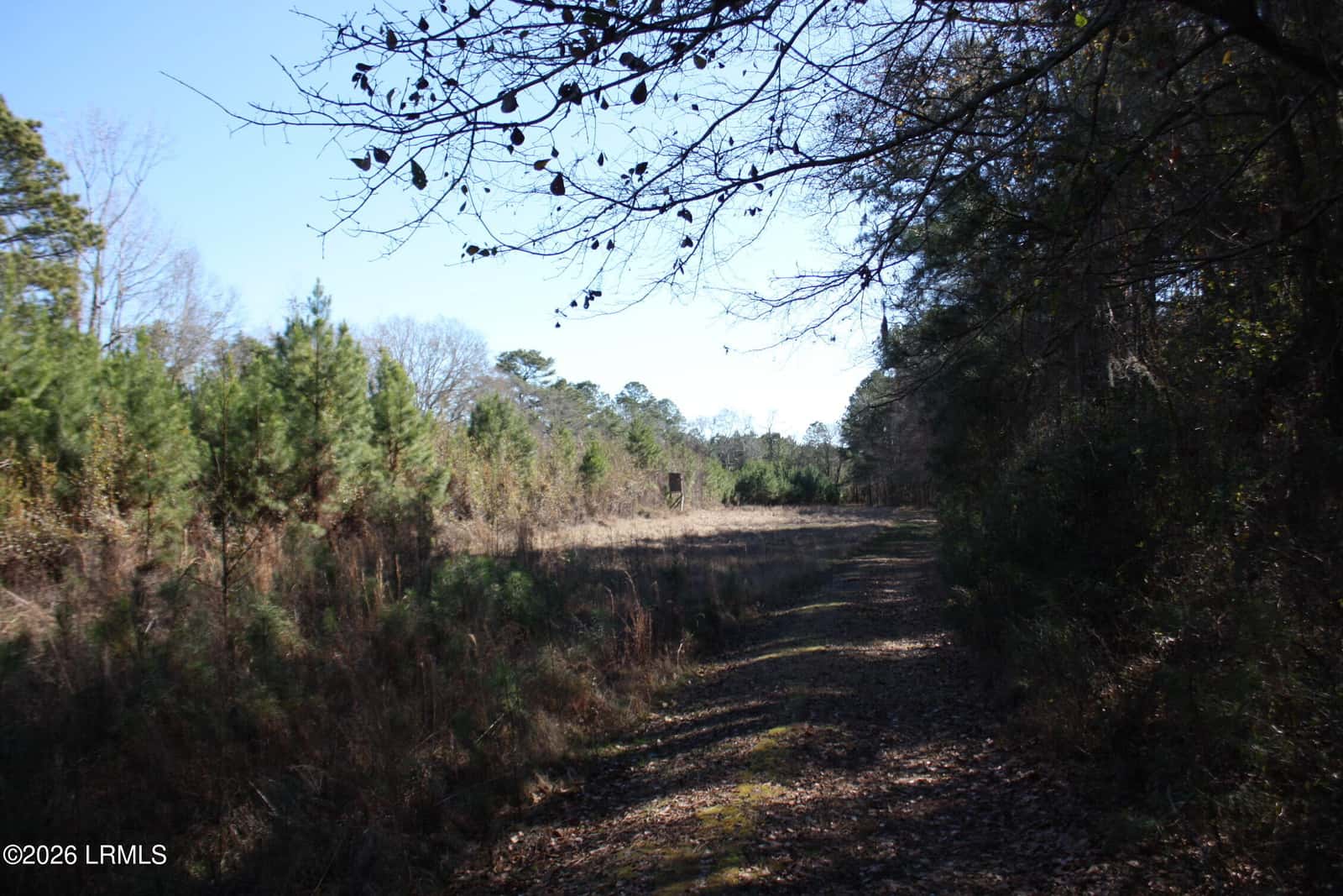 2650 Joe Miley Road, Brunson, SC 29911 — photo 13 of 13