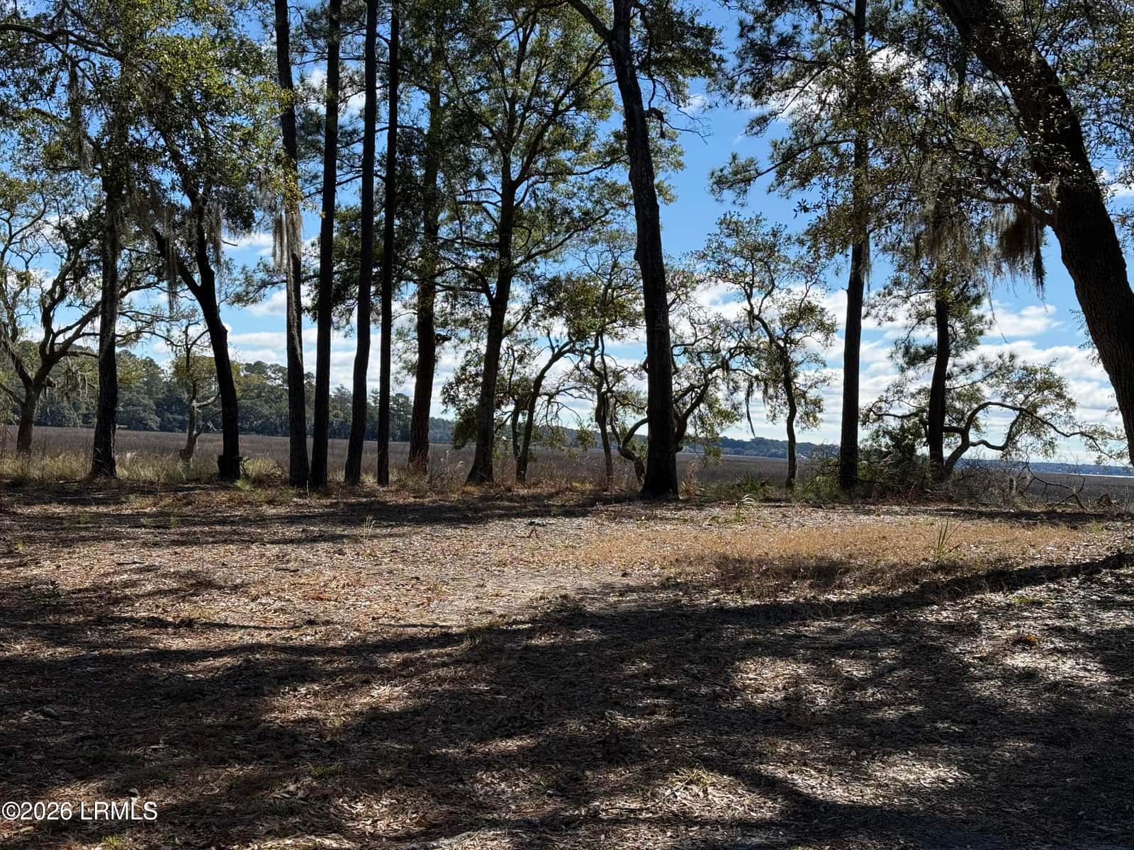 74 Downing Drive, Beaufort, SC 29907 — photo 6 of 12