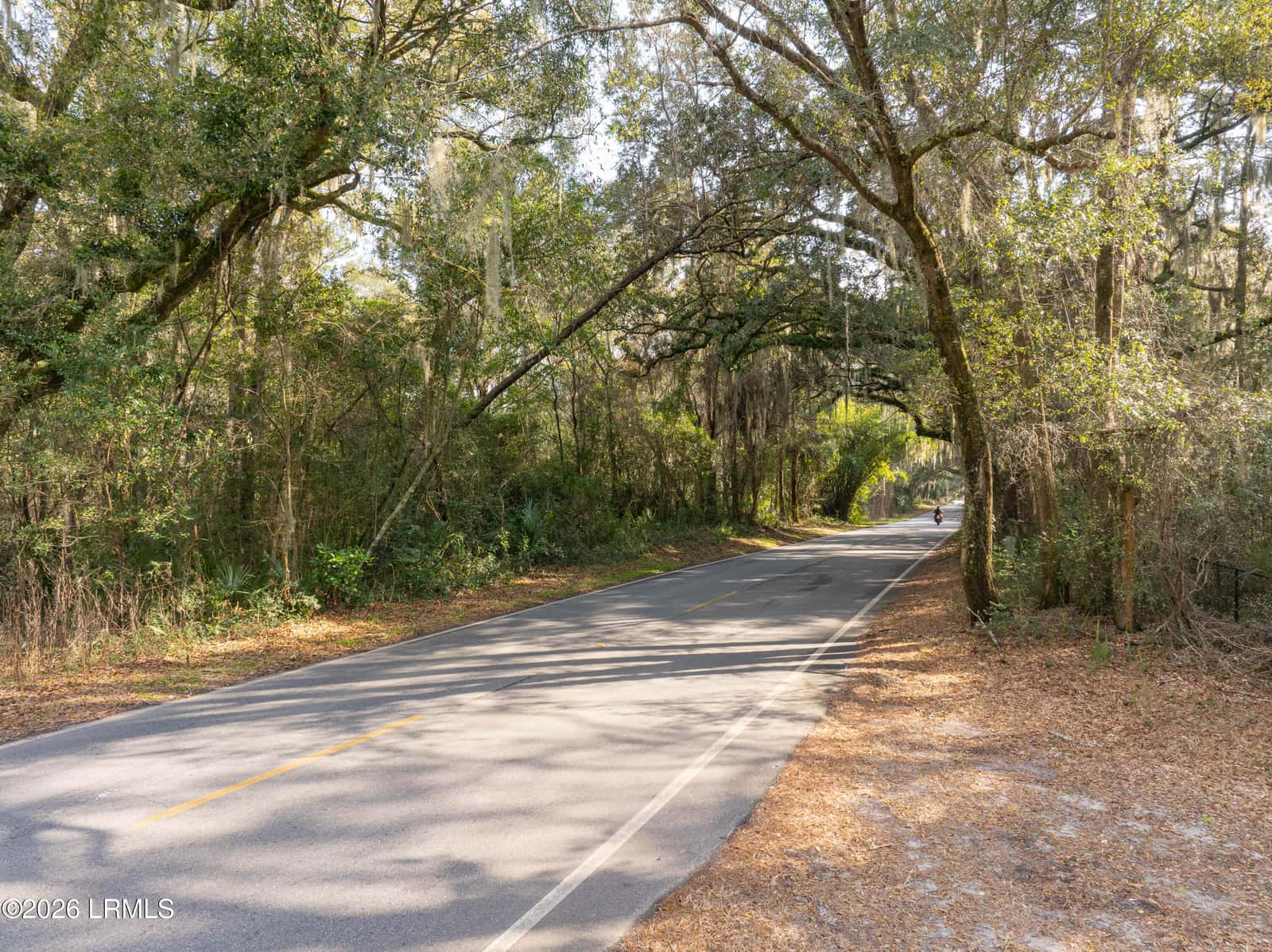 Tbd Meridian Road, Beaufort, SC 29907 — photo 2 of 11