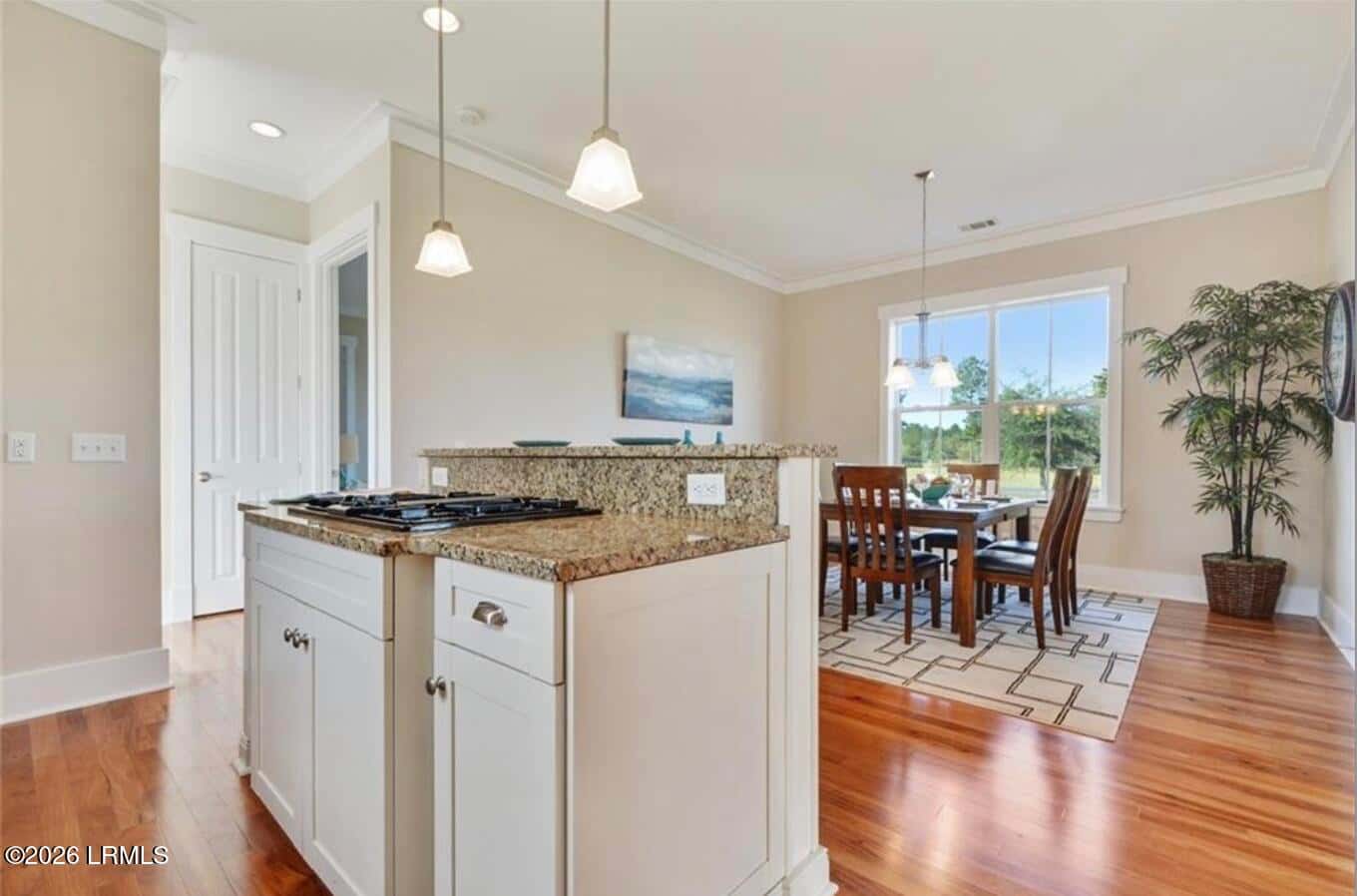243 Redbud Lane, Hardeeville, SC 29927 — photo 5 of 15