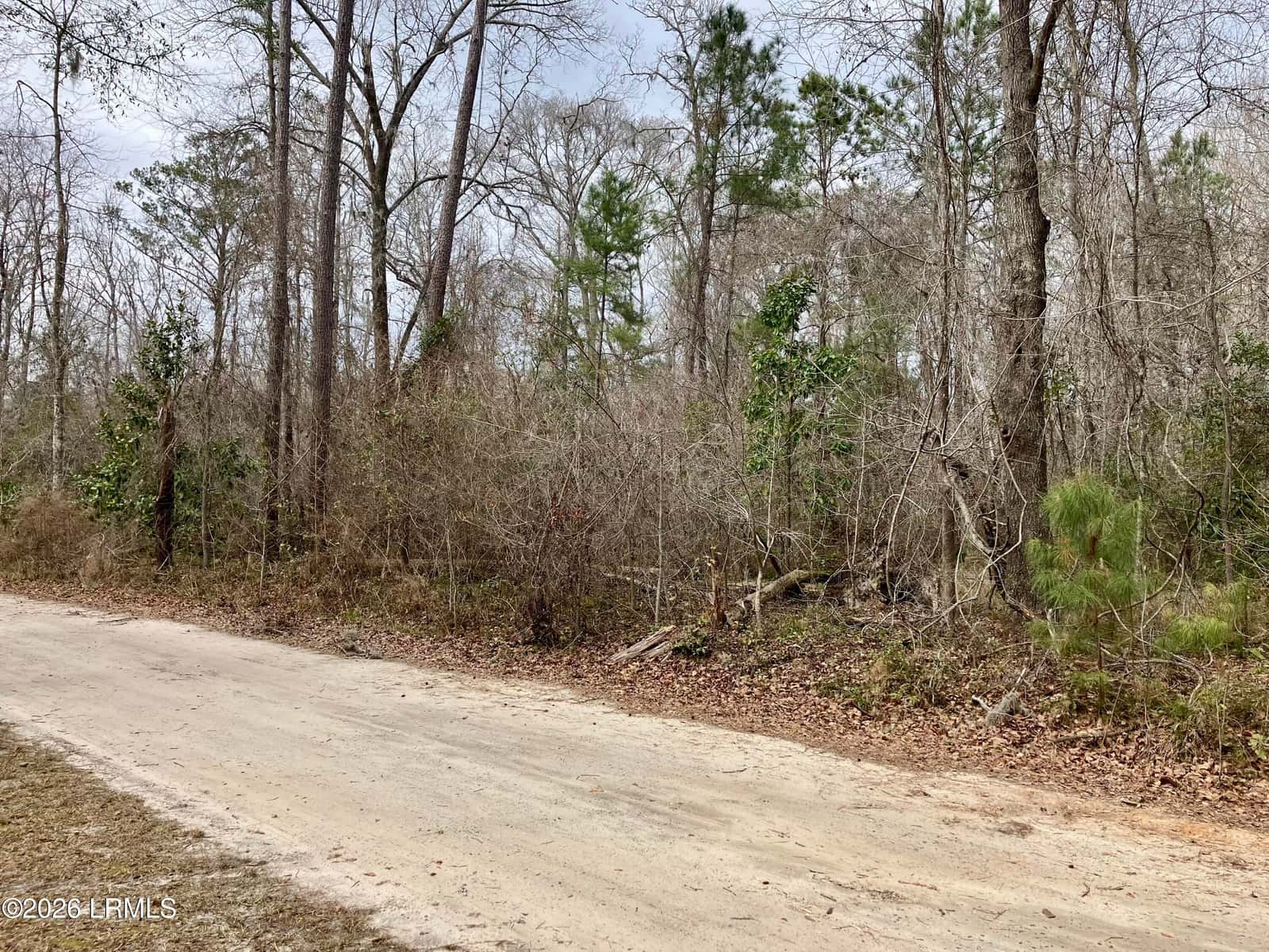 0 Delta Estates Road, Hardeeville, SC 29927 — photo 2 of 6