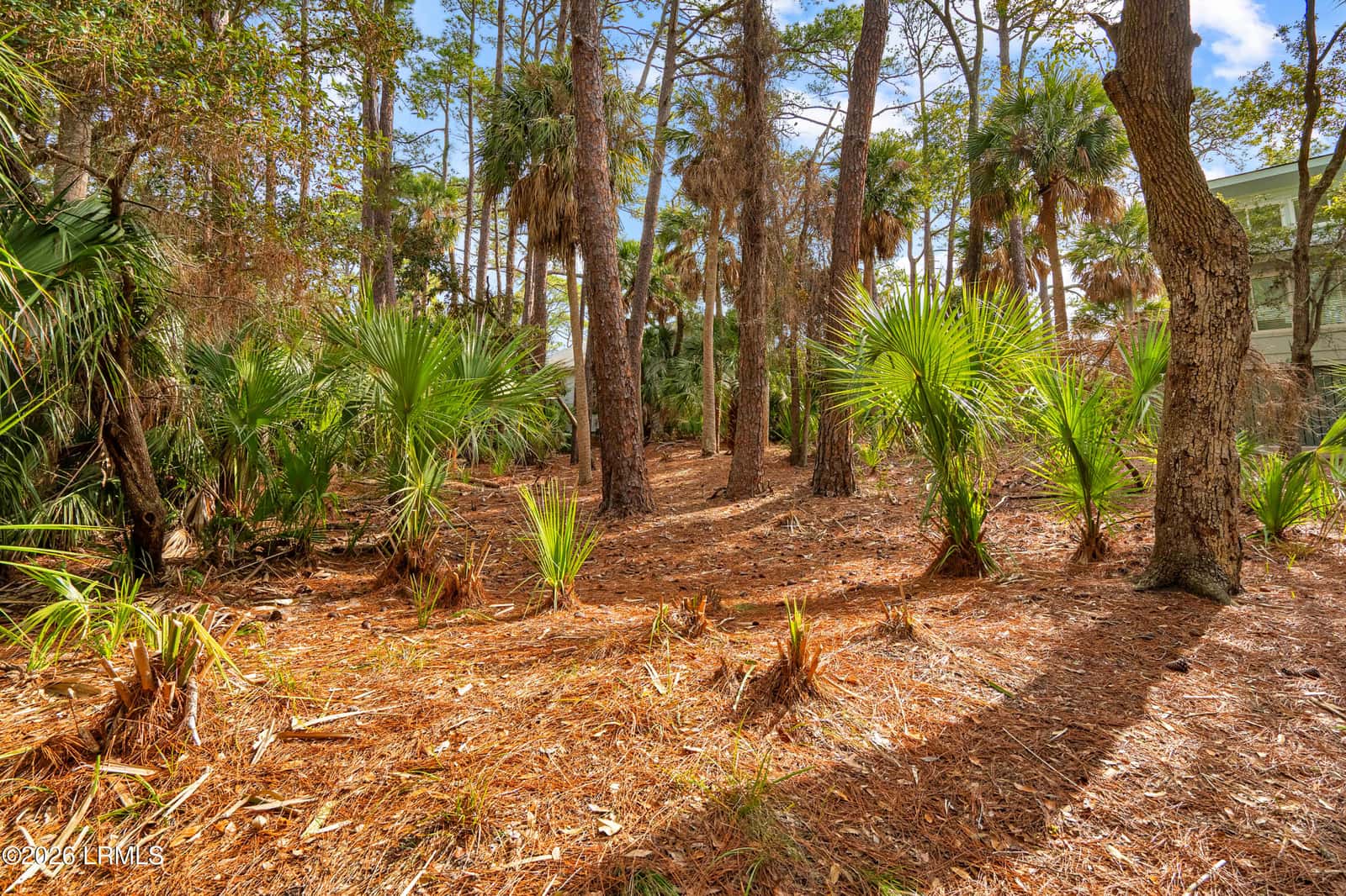 848 Marsh Dunes Road, Fripp Island, SC 29920 — photo 19 of 54