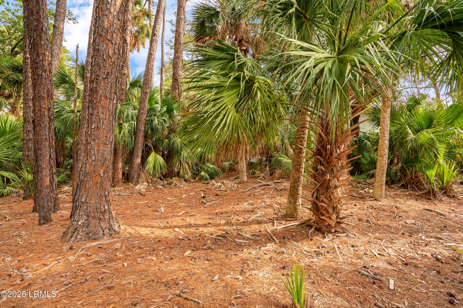 848 Marsh Dunes Road, Fripp Island, SC 29920 — photo 18 of 54
