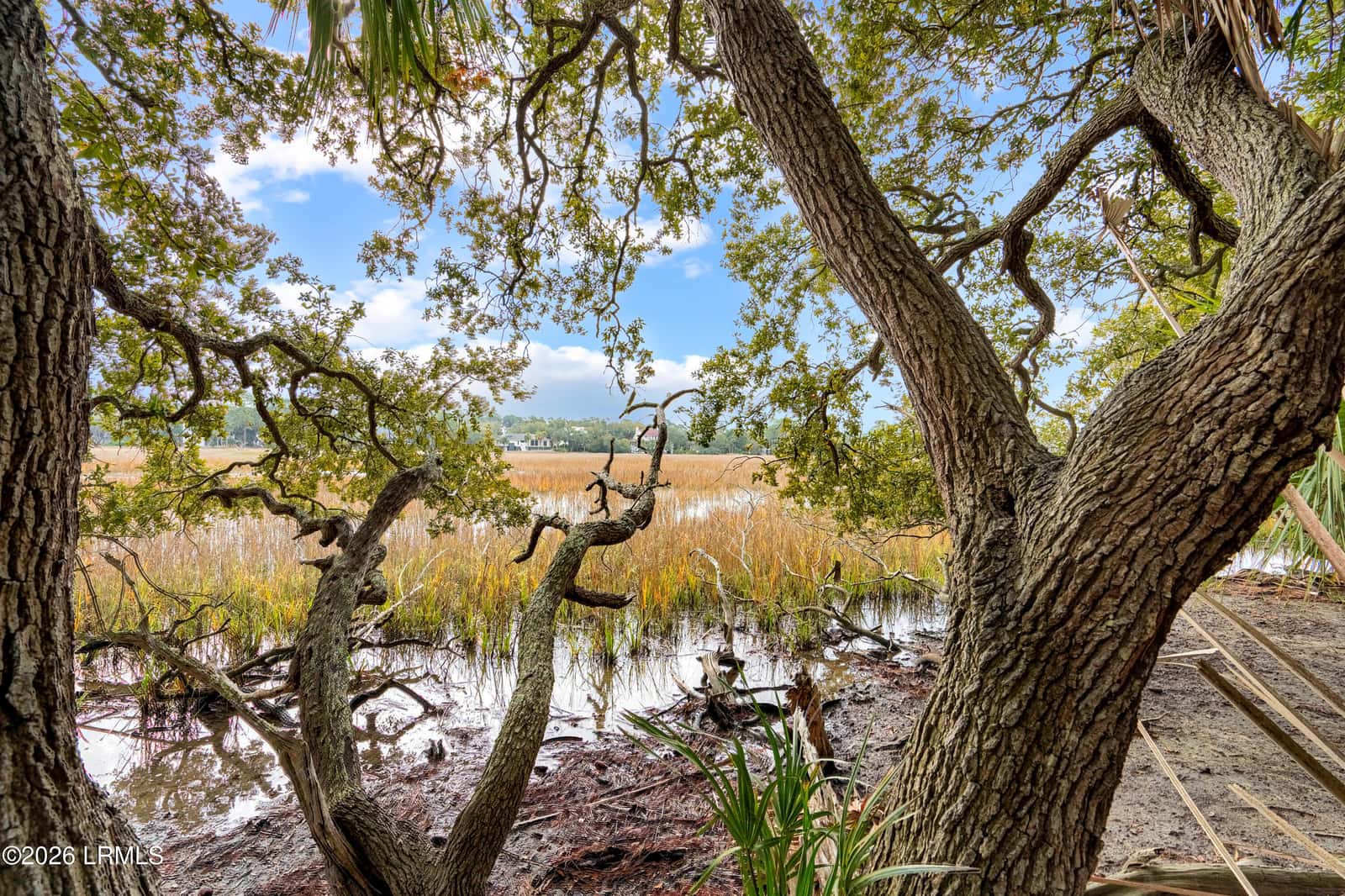 848 Marsh Dunes Road, Fripp Island, SC 29920 — photo 16 of 54