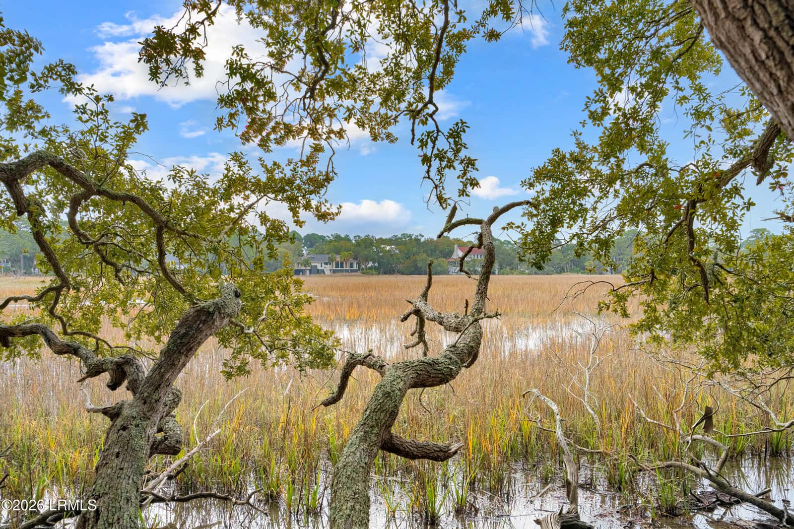 848 Marsh Dunes Road, Fripp Island, SC 29920 — photo 14 of 54