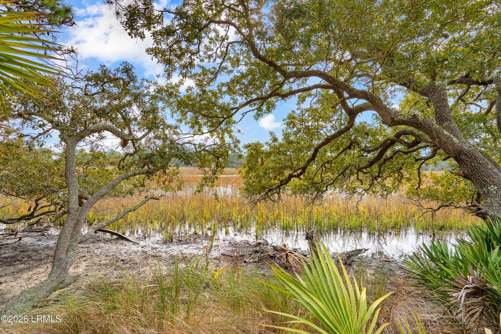 848 Marsh Dunes Road, Fripp Island, SC 29920 — photo 15 of 54