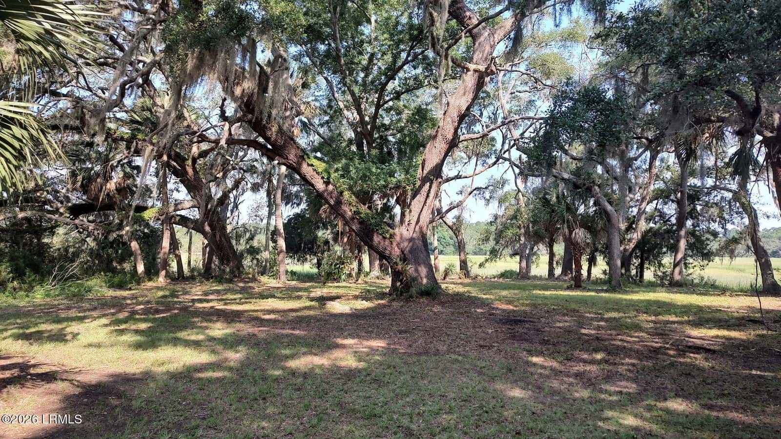 22 Ed And Grant Drive, St. Helena Island, SC 29920 — photo 11 of 19
