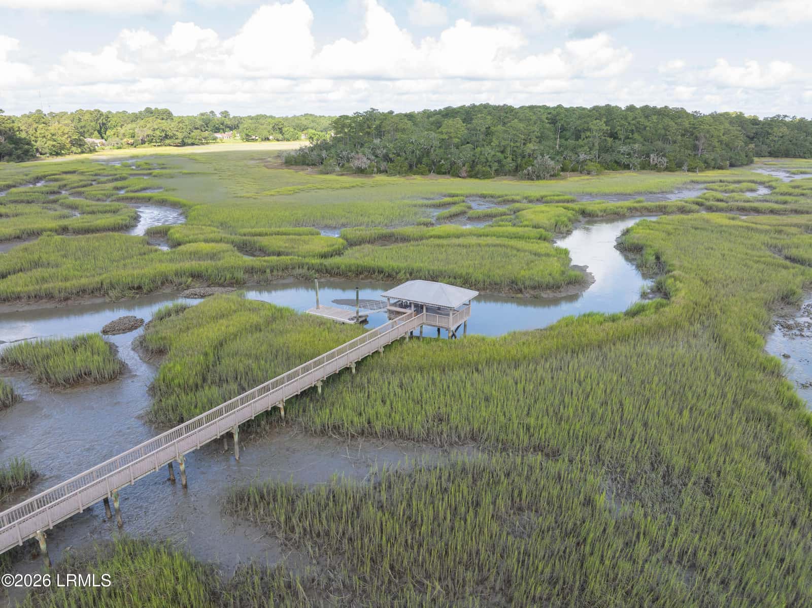 2947 Needlegrass Drive, Beaufort, SC 29902 — photo 49 of 51