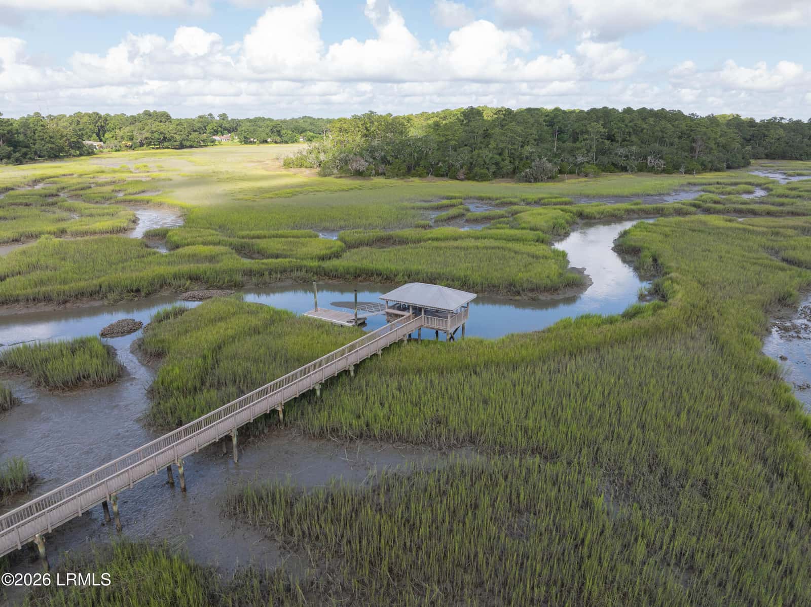2947 Needlegrass Drive, Beaufort, SC 29902 — photo 50 of 51