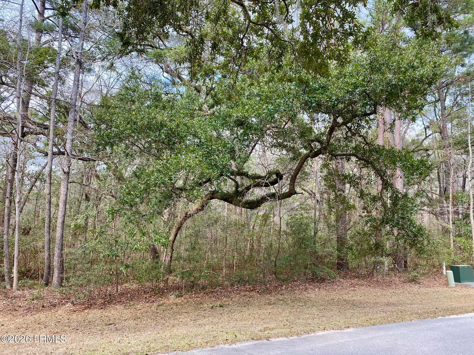 3 Blake Lane, Seabrook, SC 29940 — photo 23 of 40