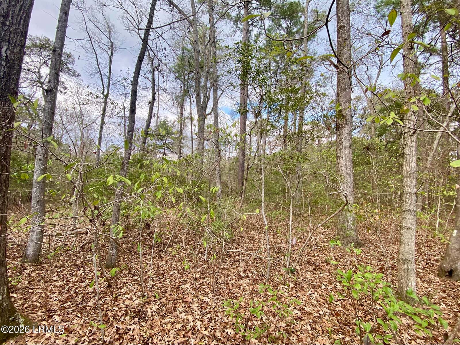3 Blake Lane, Seabrook, SC 29940 — photo 10 of 40