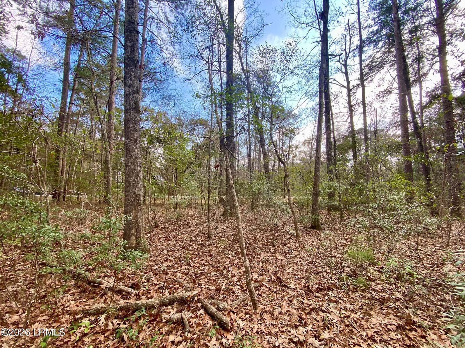 3 Blake Lane, Seabrook, SC 29940 — photo 11 of 40