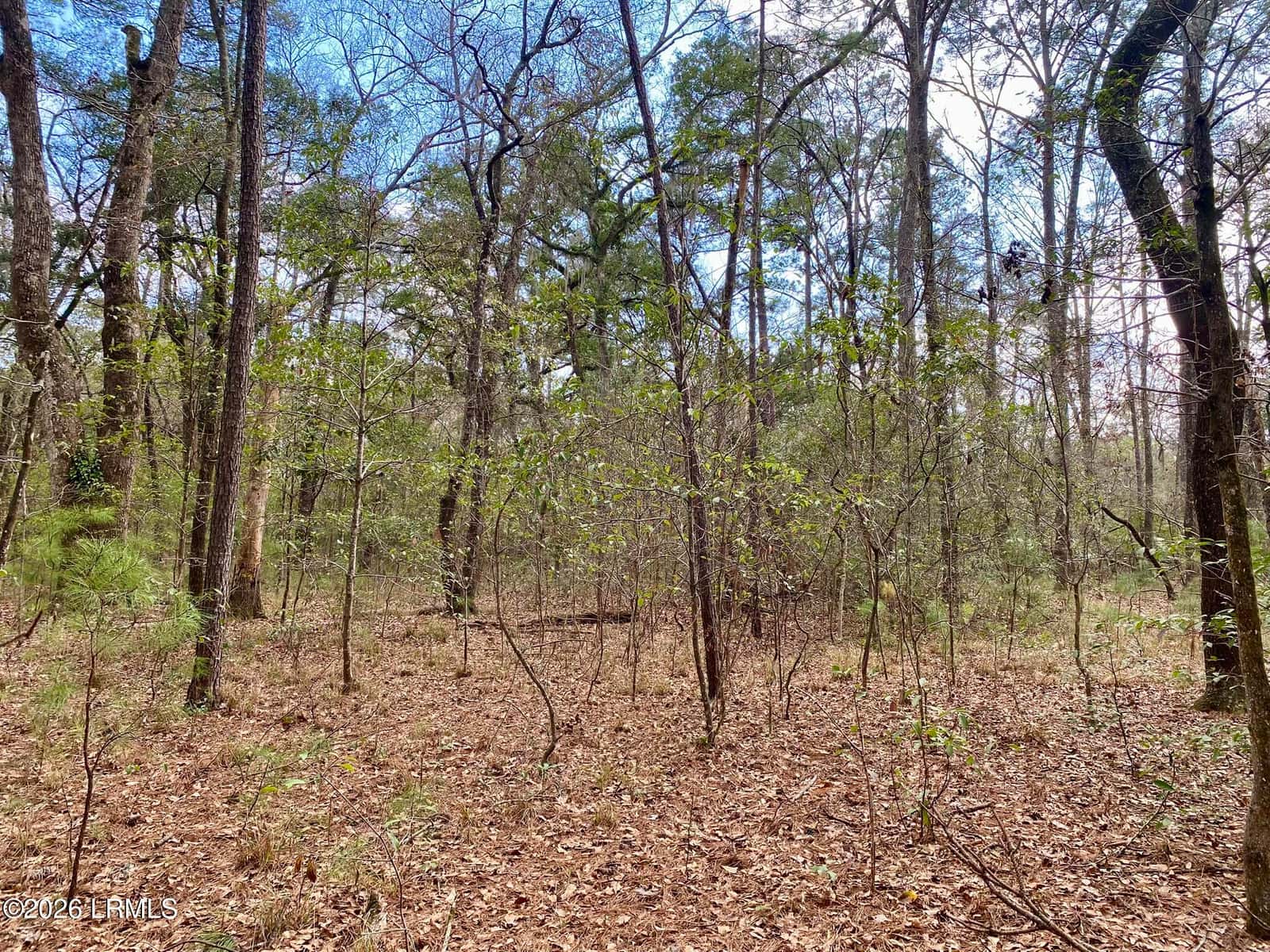 3 Blake Lane, Seabrook, SC 29940 — photo 15 of 40