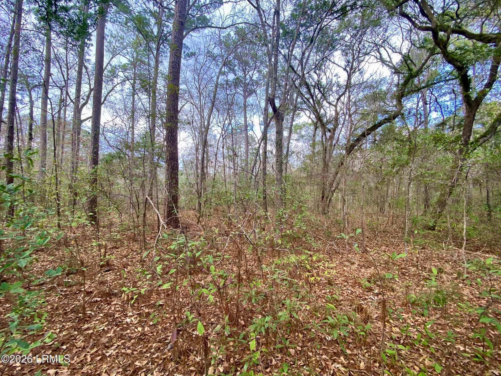 3 Blake Lane, Seabrook, SC 29940 — photo 16 of 40