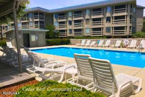1 Cedar Reef Drive F204, St. Helena Island, SC 29920 — photo 53 of 62