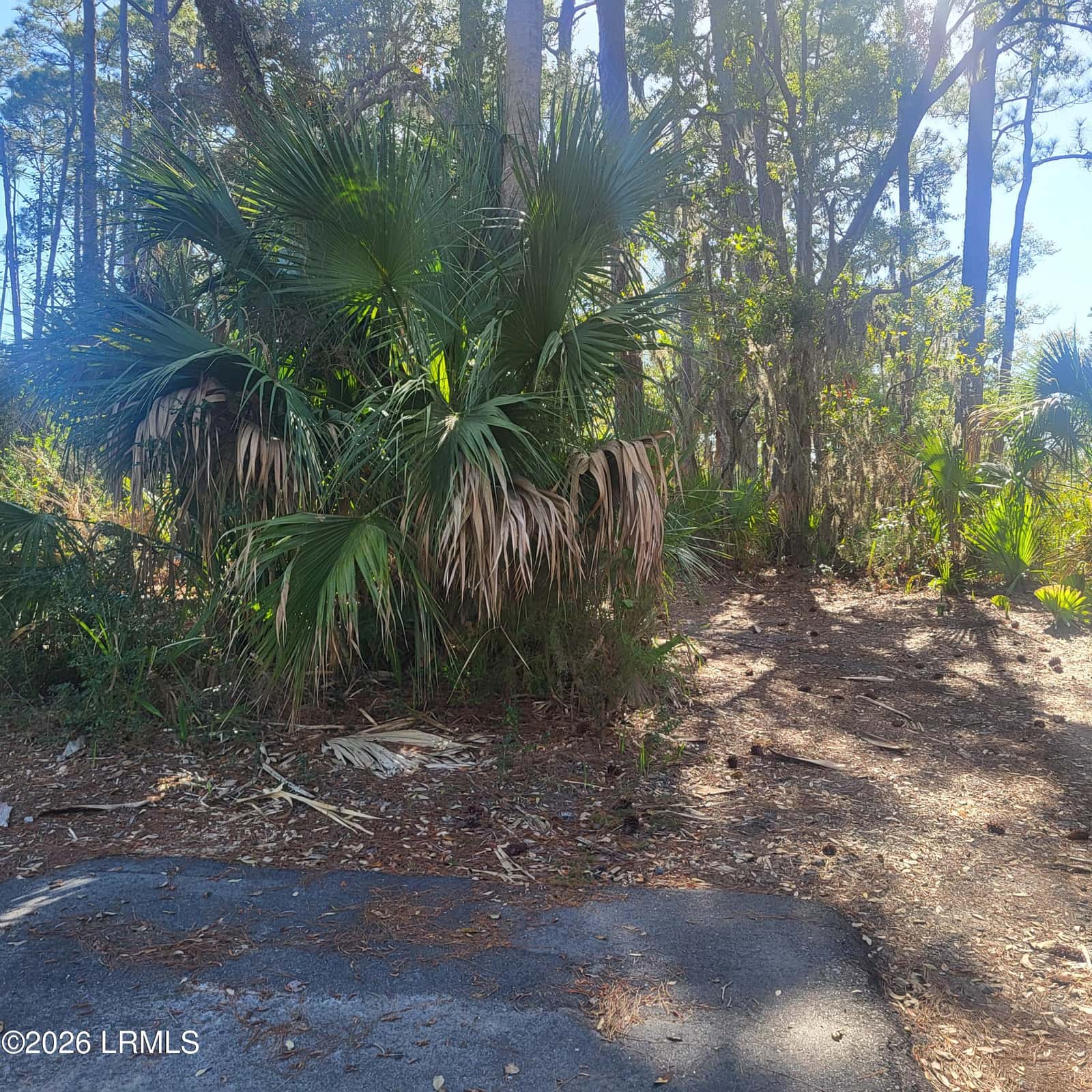 26 Lakeview Lane, St. Helena Island, SC 29920 — photo 3 of 12