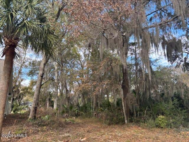 318 Westbrook Road, St. Helena Island, SC 29920 — photo 9 of 14