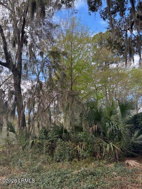 318 Westbrook Road, St. Helena Island, SC 29920 — photo 13 of 14
