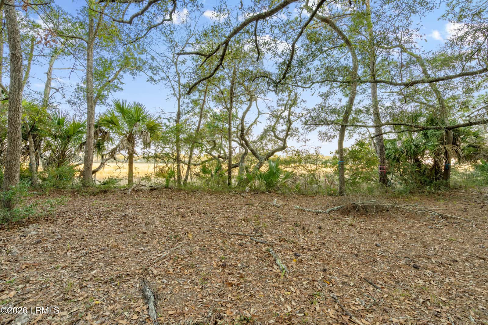 74 Eve Creek, Beaufort, SC 29906 — photo 7 of 17