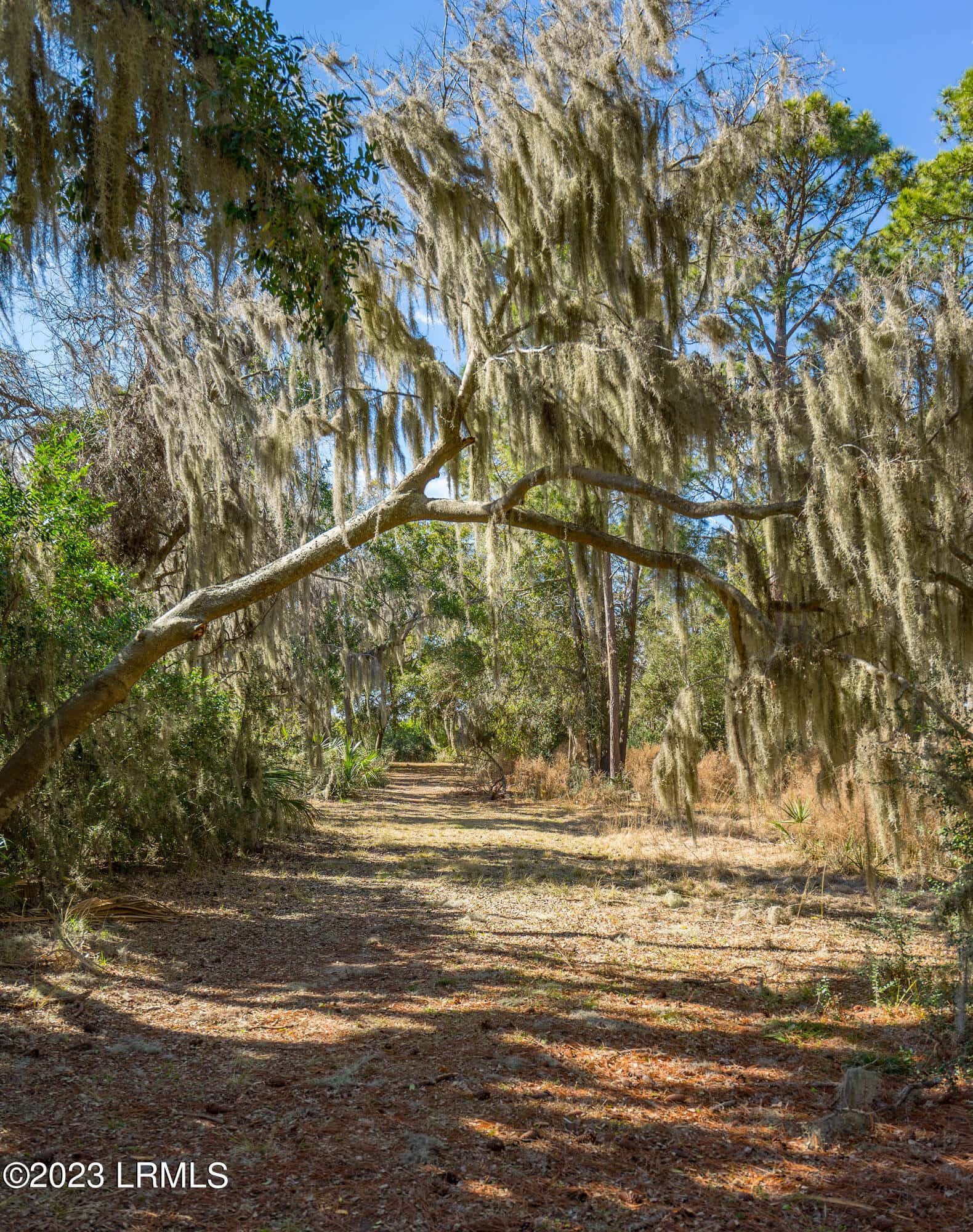 20 Claires Point Road, Beaufort, SC 29907 — photo 13 of 22