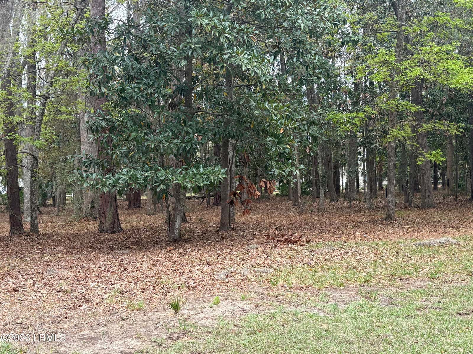 417 Battery Chase, Beaufort, SC 29902 — photo 3 of 7