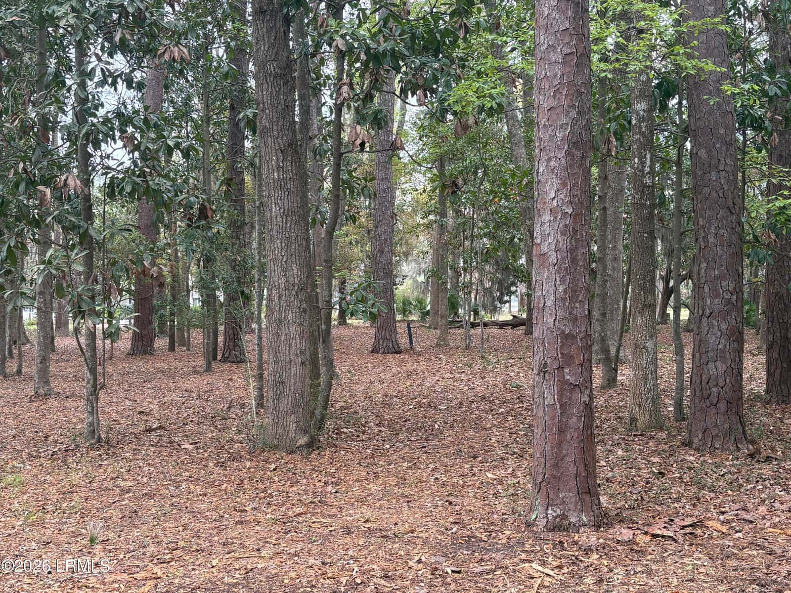 417 Battery Chase, Beaufort, SC 29902 — photo 1 of 7