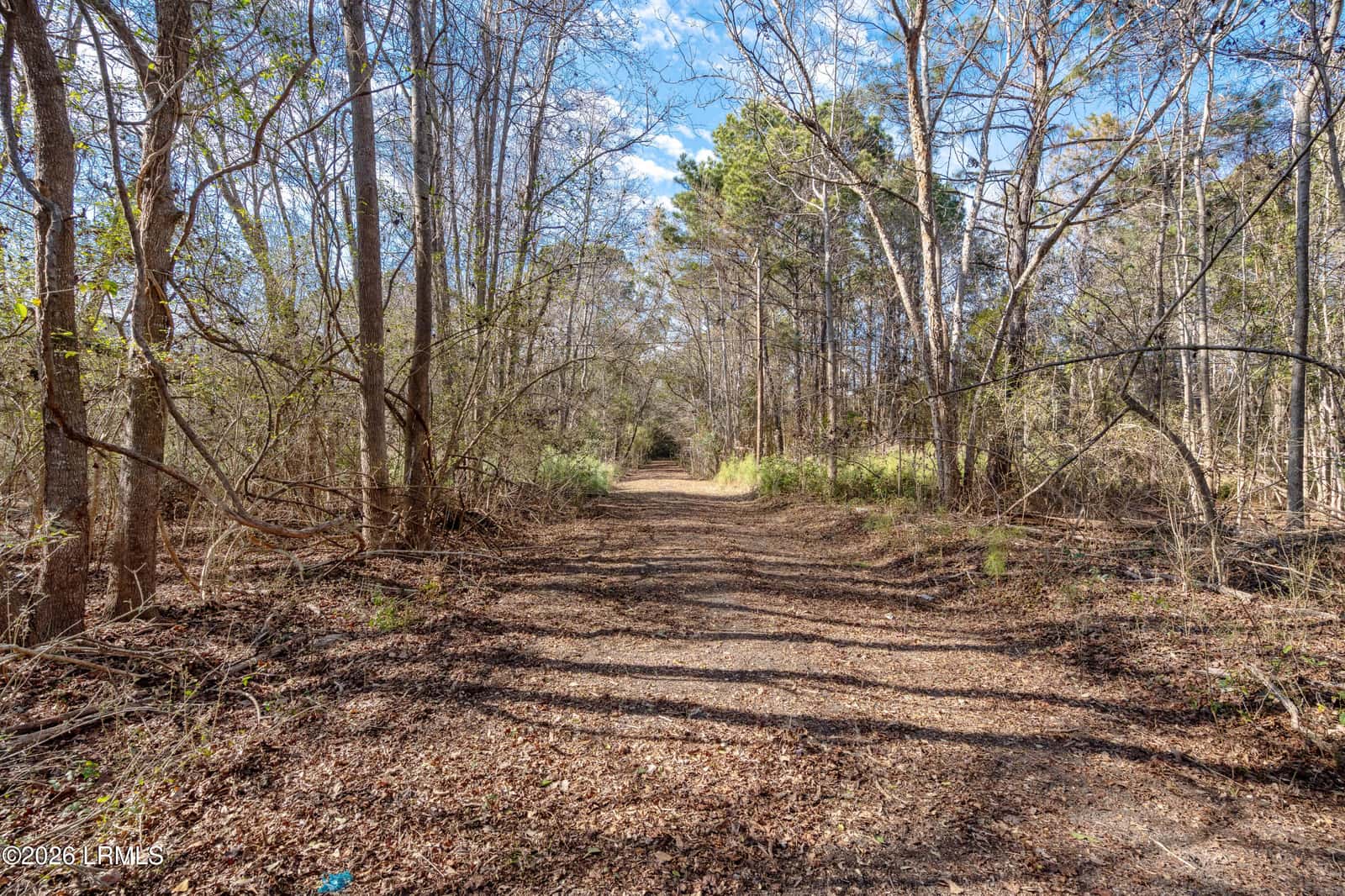 83 Fripp Point Road, St. Helena Island, SC 29920 — photo 5 of 20