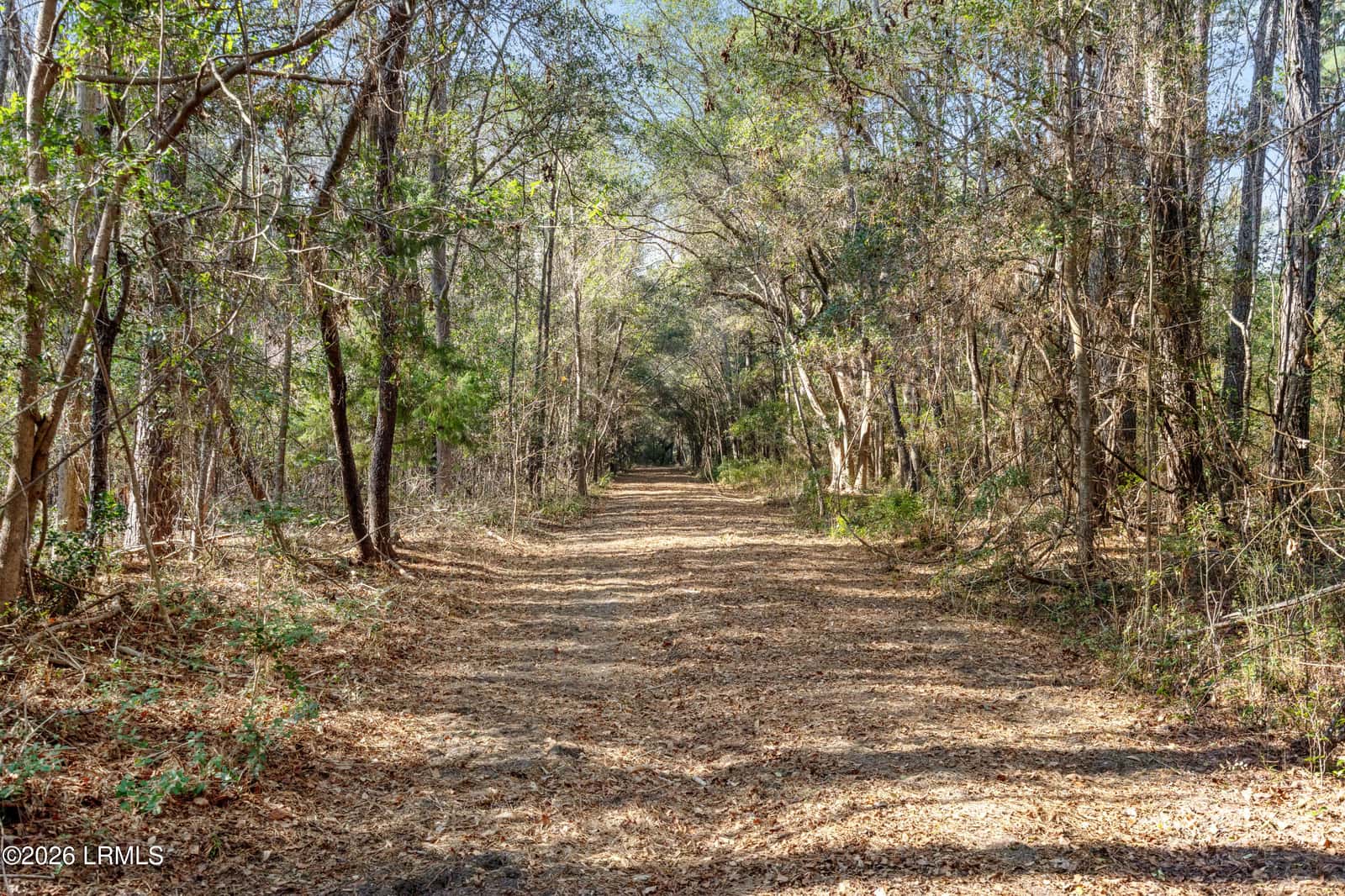 83 Fripp Point Road, St. Helena Island, SC 29920 — photo 16 of 20