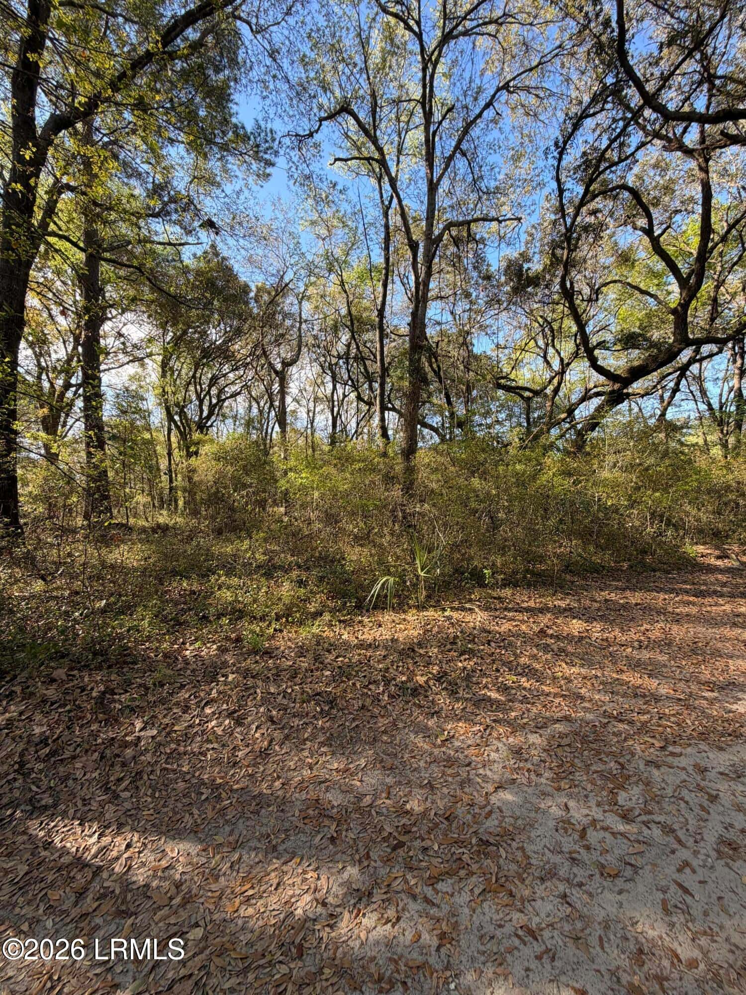 32 Jo Capers Road, St. Helena Island, SC 29920 — photo 10 of 28