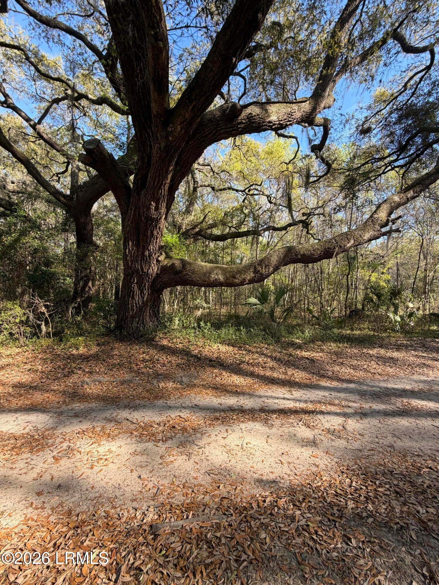 32 Jo Capers Road, St. Helena Island, SC 29920 — photo 12 of 28