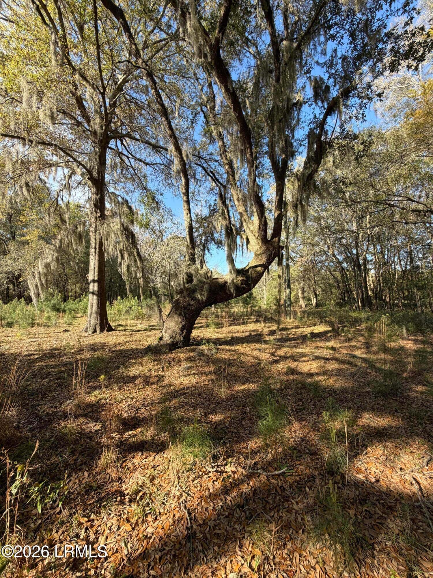 32 Jo Capers Road, St. Helena Island, SC 29920 — photo 17 of 28