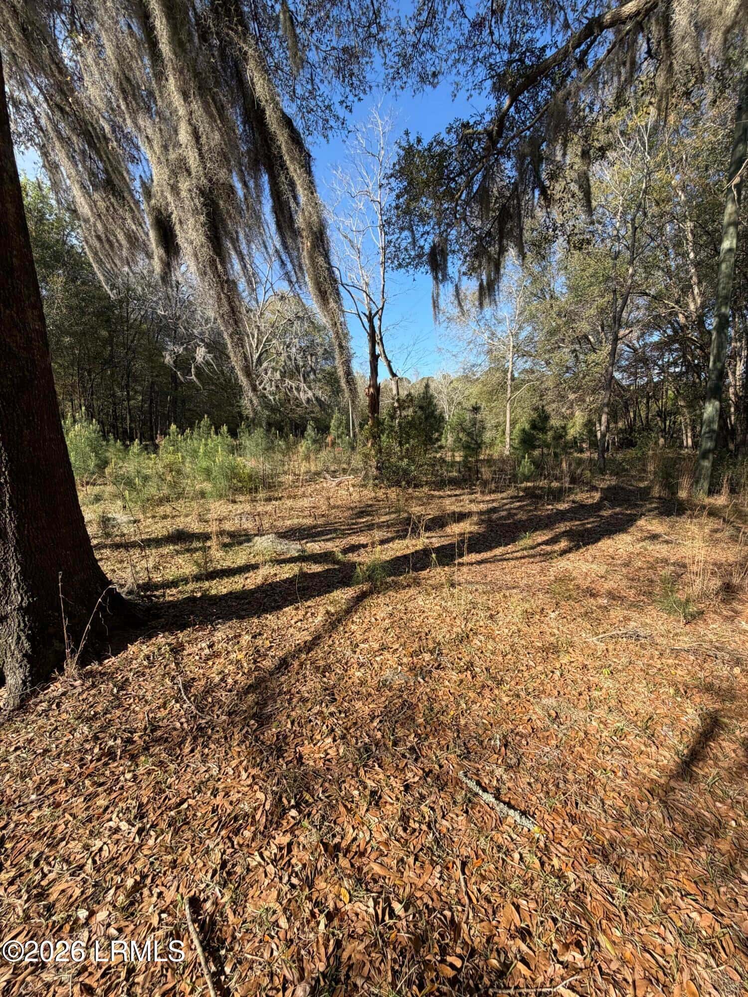 32 Jo Capers Road, St. Helena Island, SC 29920 — photo 18 of 28