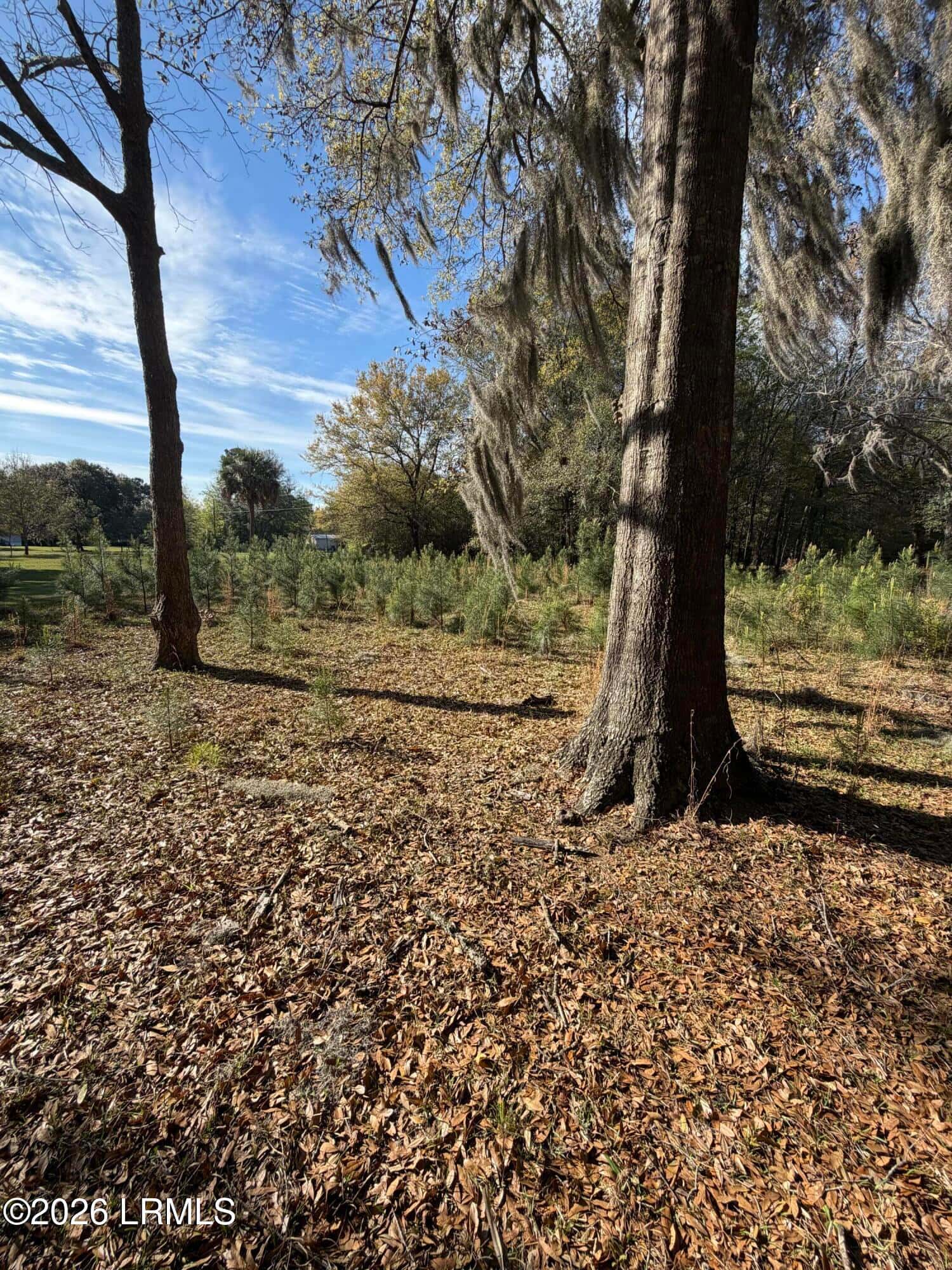 32 Jo Capers Road, St. Helena Island, SC 29920 — photo 19 of 28