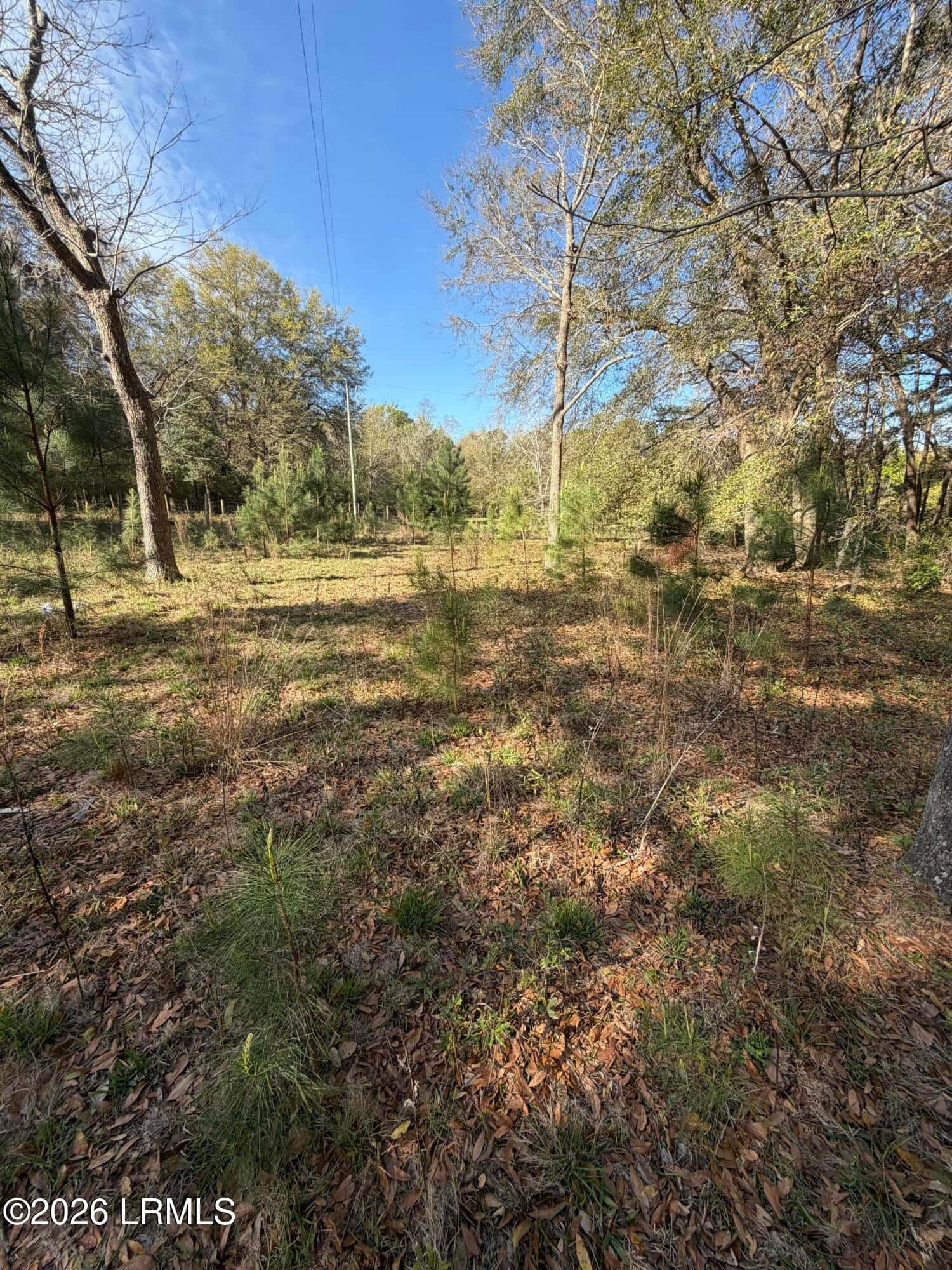 32 Jo Capers Road, St. Helena Island, SC 29920 — photo 21 of 28