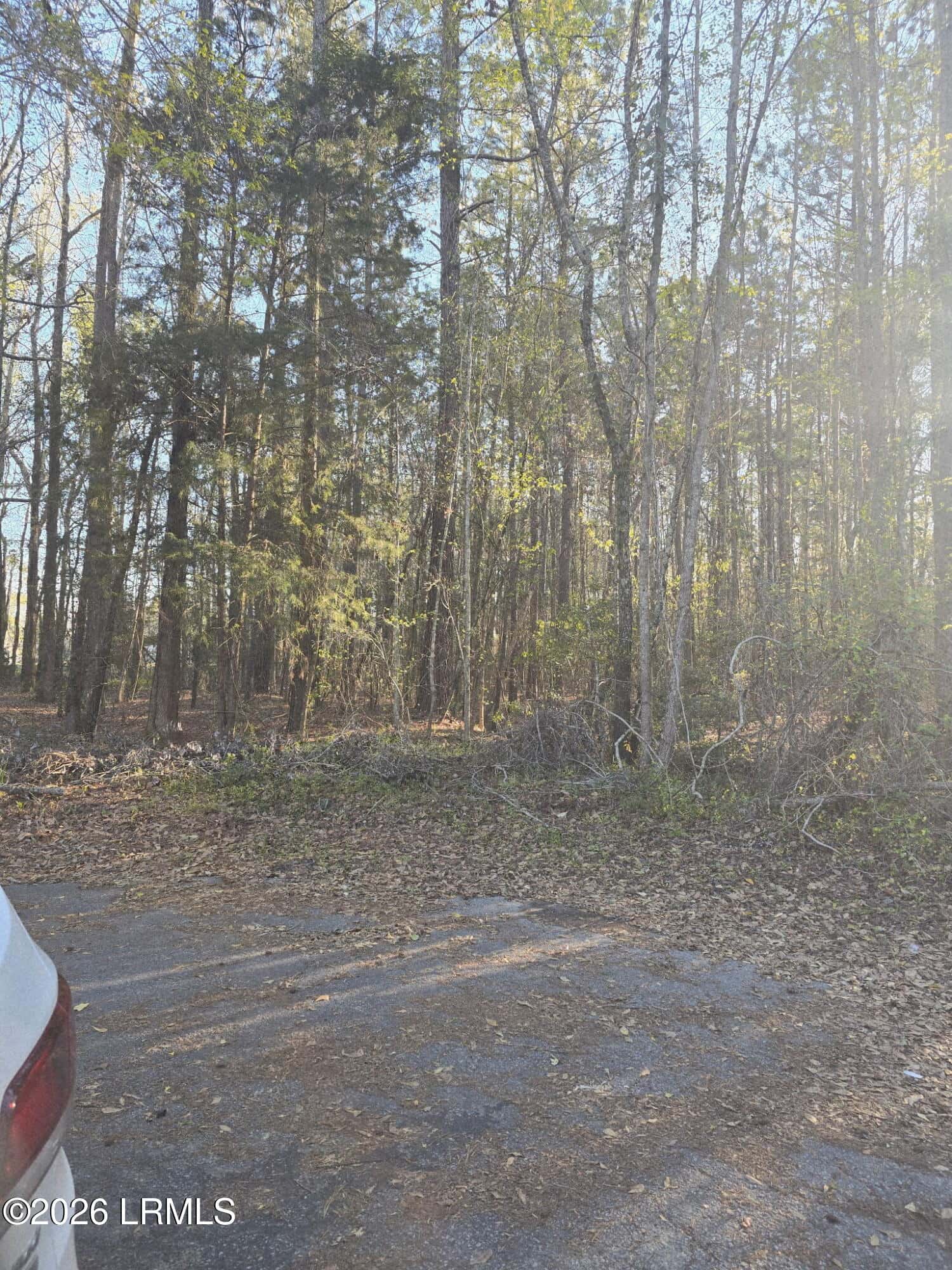 Lot 12 Freeman Street, Brunson, SC 29911 — photo 4 of 8