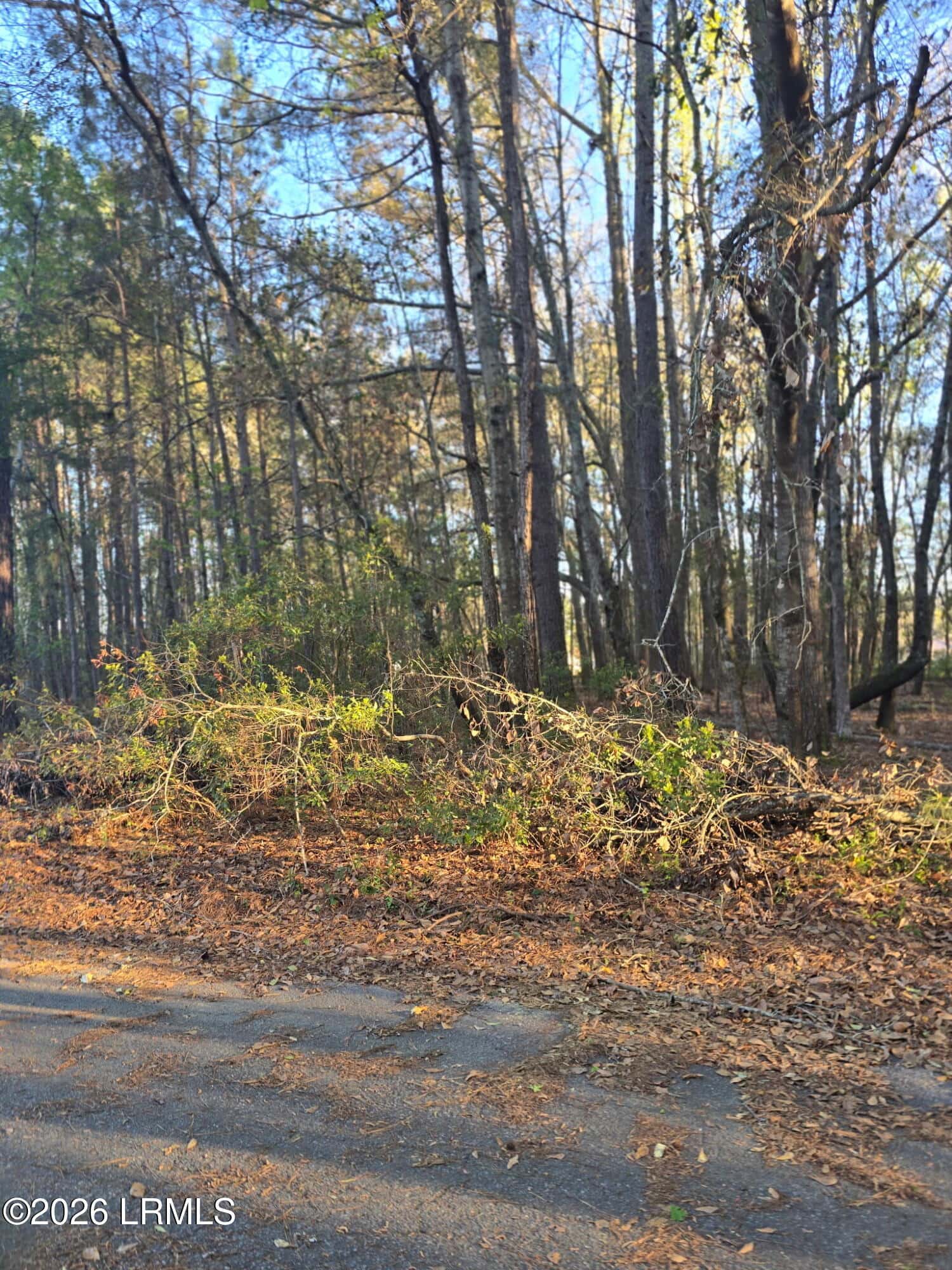 Lot 12 Freeman Street, Brunson, SC 29911 — photo 5 of 8