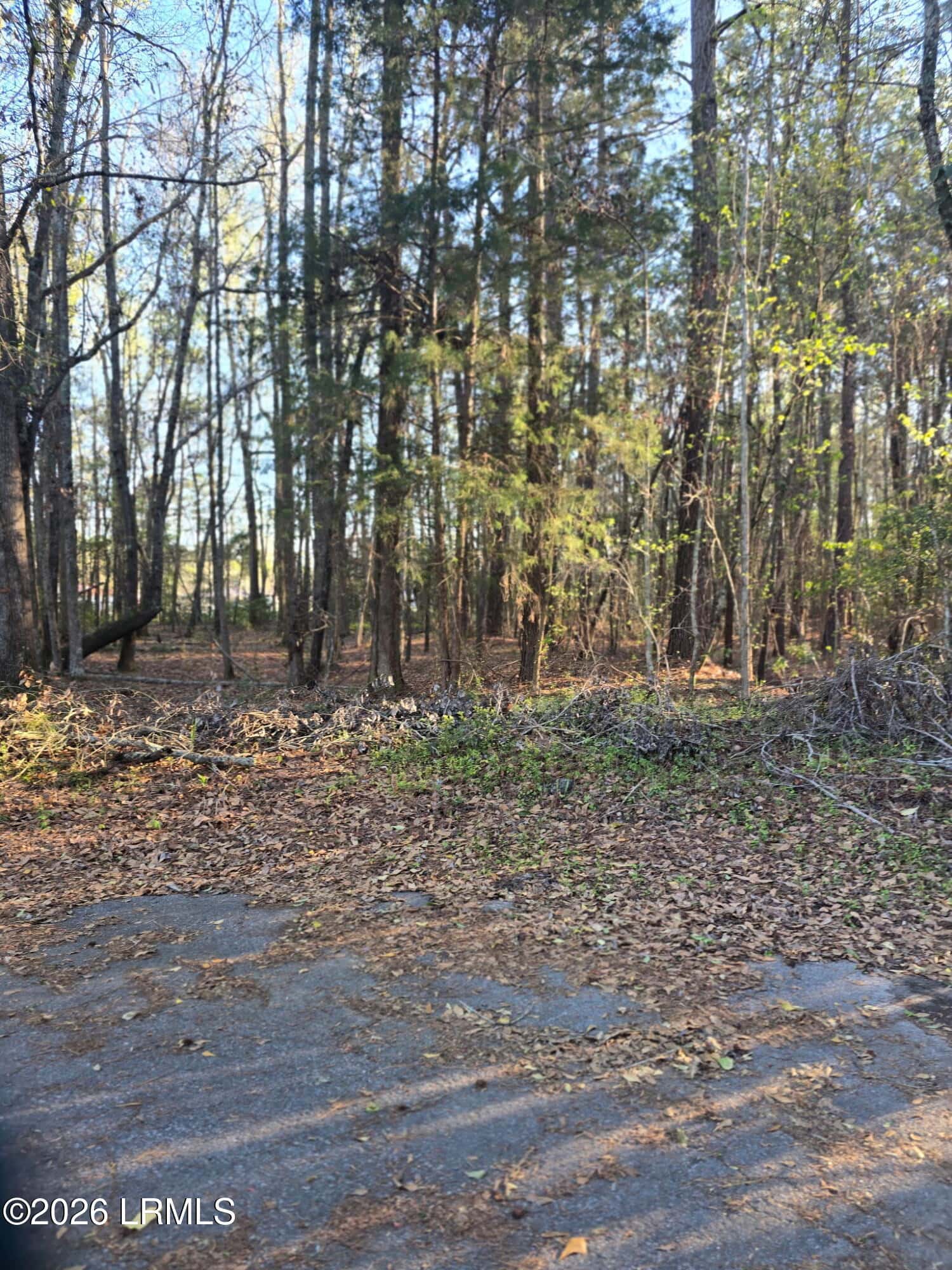 Lot 12 Freeman Street, Brunson, SC 29911 — photo 6 of 8