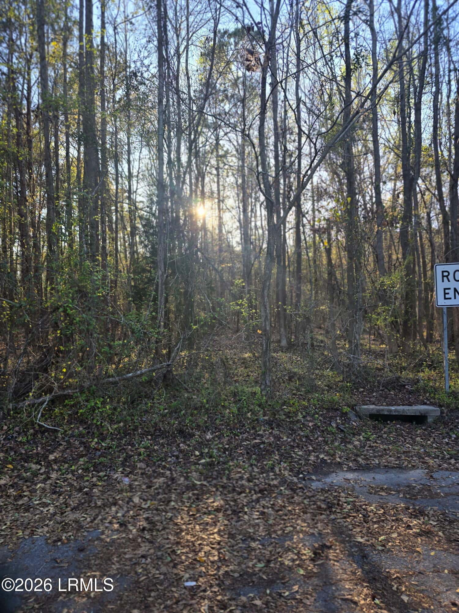 Lot 12 Freeman Street, Brunson, SC 29911 — photo 7 of 8