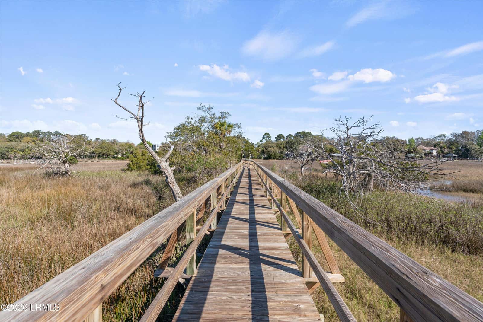 61 Hammock Oaks Circle, Hilton Head Island, SC 29926 — photo 44 of 55