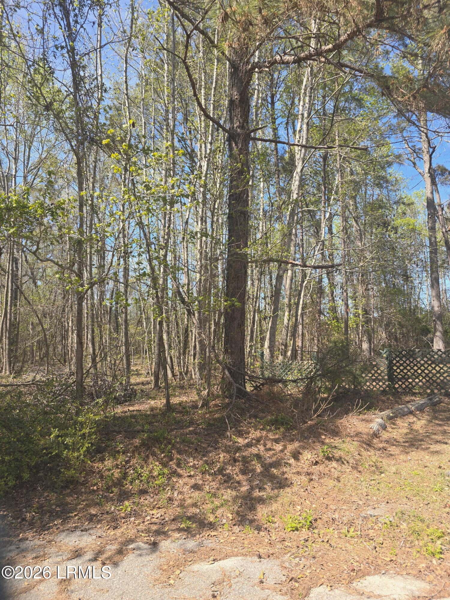 Lot 5 Freeman Street, Hampton, SC 29924 — photo 1 of 7