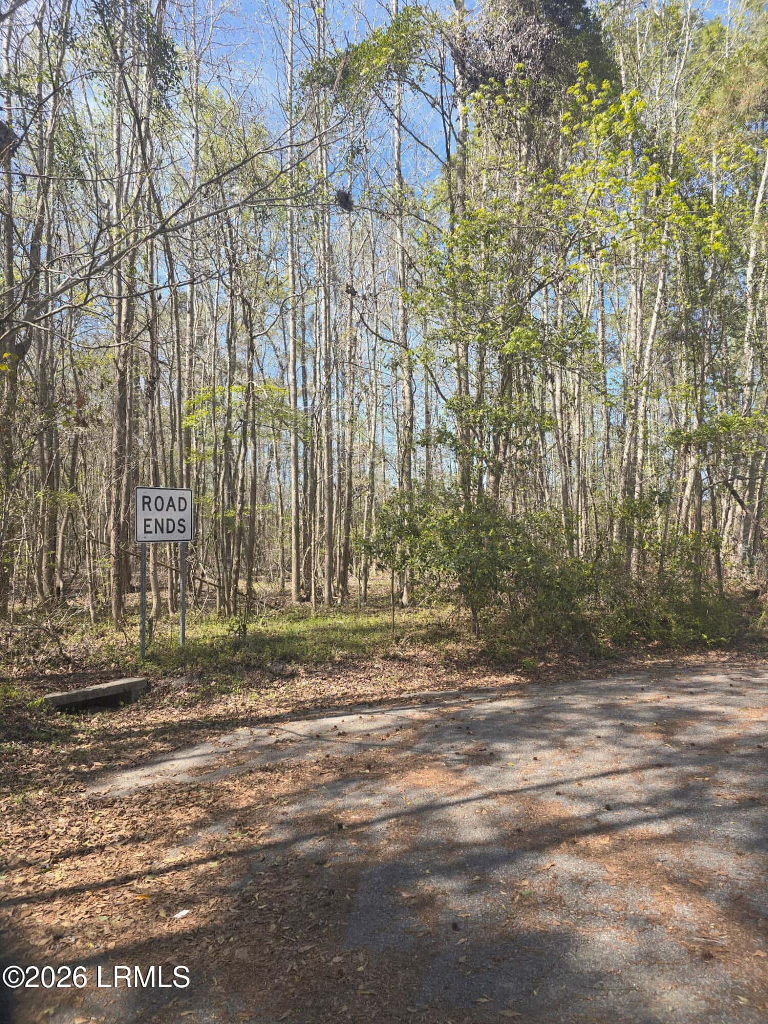 Lot 5 Freeman Street, Hampton, SC 29924 — photo 3 of 7