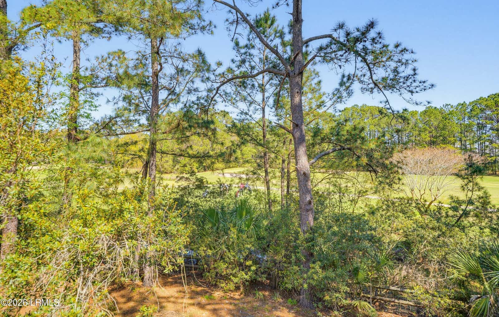 35 Downing Drive, Beaufort, SC 29907 — photo 28 of 50