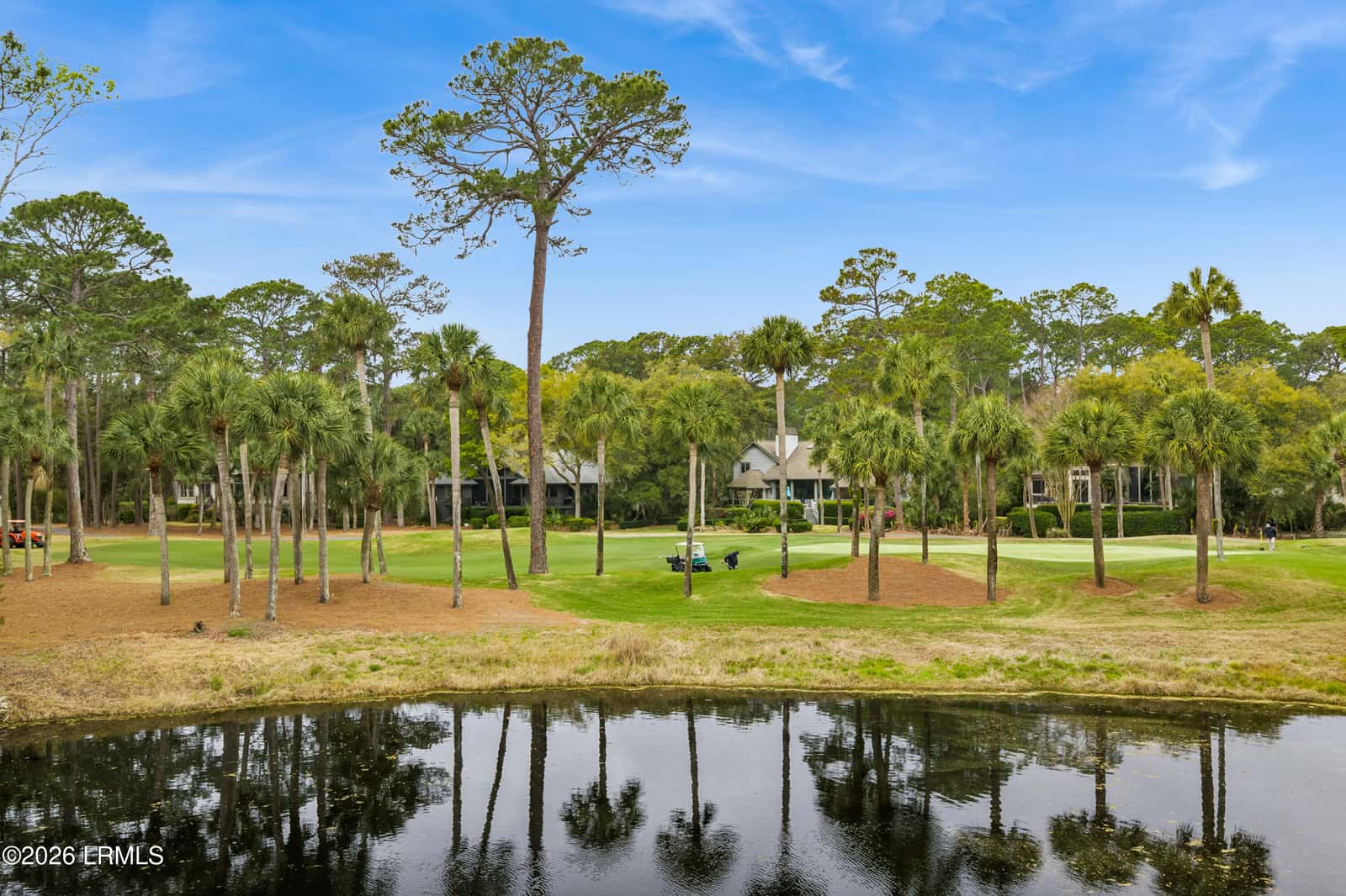 8 Long Brow Road, Hilton Head Island, SC 29928 — photo 88 of 94